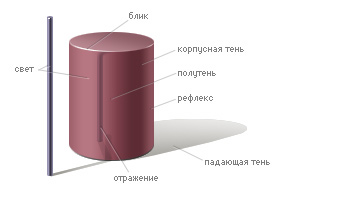 Смотрим